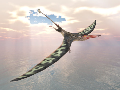 Pterosaur Rhamphorhynchus
