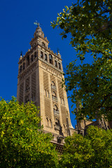 Fototapeta na wymiar view of the famous Giralda in Seville, Spain