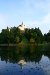 Fototapeta na wymiar Reflection of the castle in autumn