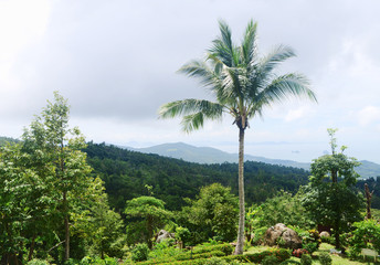 Fototapeta na wymiar View point Paradise Park Farm, Koh Samui, Thailand.