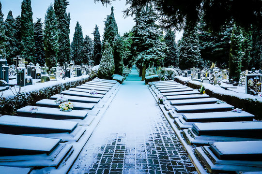 Burgos Cementery