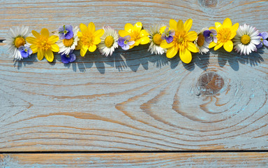 Background of grey blue wood with line of  field flowers