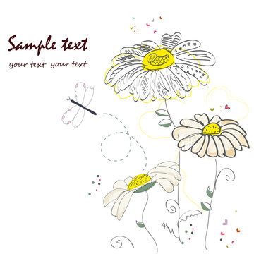 Romantic daisy flower greeting card vector