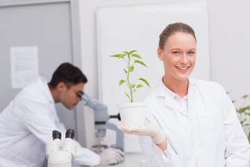 Fototapeta premium Happy scientist smiling at camera showing plant