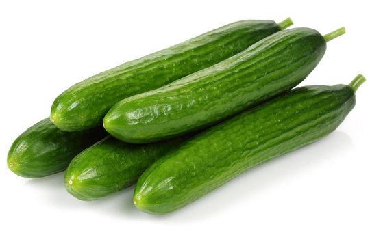 Cucumber