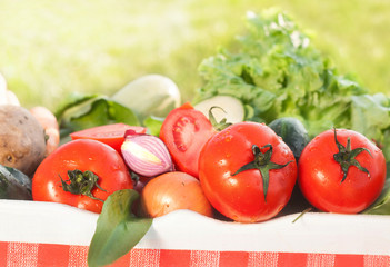 fresh organic vegetables