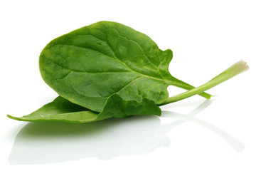 Fresh Spinach © mates