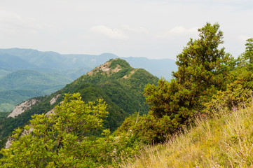 Obraz premium Summer in the mountains of the Caucasus