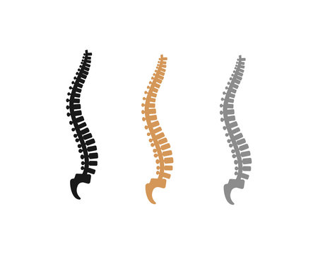 vector illustration of simple spine bone in various color