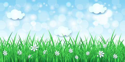 Spring background with sky and grass