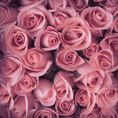 Plakaty  różowy kwiat róży bukiet rocznika tle