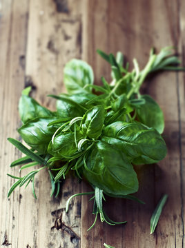 Bunch of basil and rosemary