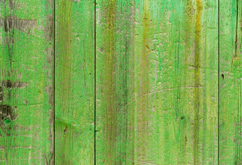 Fototapeta na wymiar Alcudia Old Town aged green door wood texture