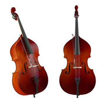 Contrabass,double bass.Classical music instrument
