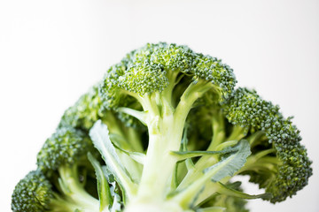 close up of broccoli over white