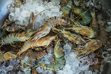Fresh seafood photographed in vietnam fish market