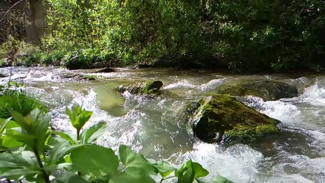 River landscape en slow motion