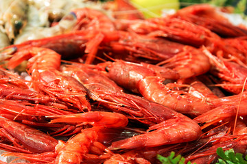 Pesce, gamberi rossi