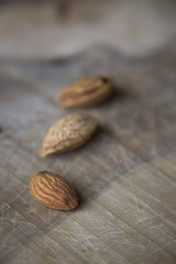 seeds