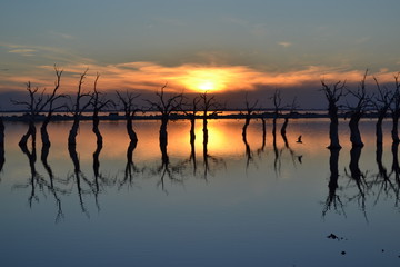 atardecer