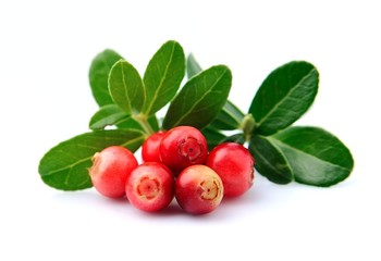 Cranberries with leaves
