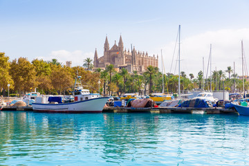 Palma de Mallorca port marina Majorca Cathedral - obrazy, fototapety, plakaty