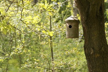 Birdhouse