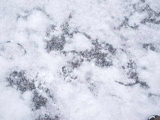 fresh snow on the ground