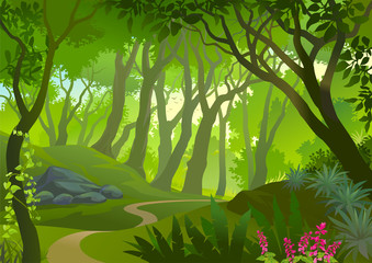 Obraz premium Droga przez gęsty las