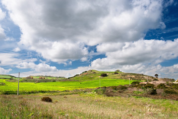 Fototapeta na wymiar Sardegna, paesaggio di campagna in primavera