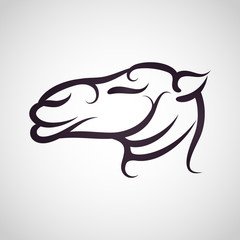 Camel logo vector