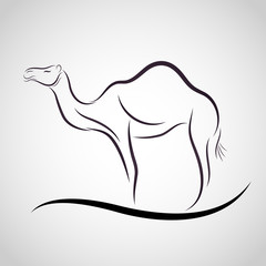 Camel logo vector