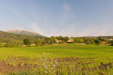 Provence in France