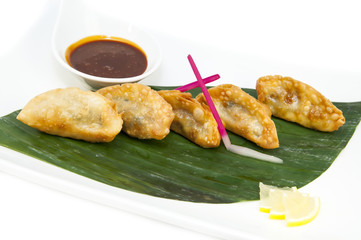 Japanese dumplings with lettuce on white background