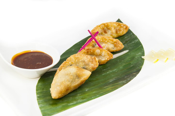 Japanese dumplings with lettuce on white background