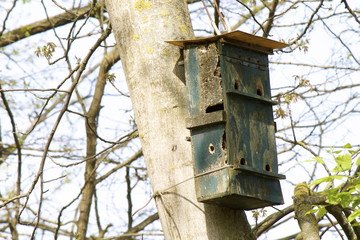 Birdhouse