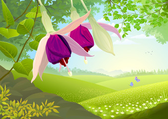 Naklejka premium Beautiful violet flowers and grassland