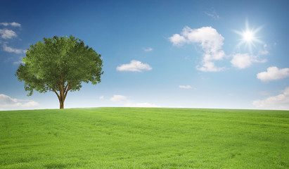 Fototapeta na wymiar Landschaft mit Baum