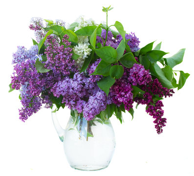 Lilac In Vase