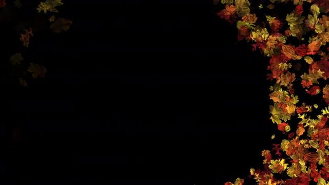 Swirling Fall Leaves