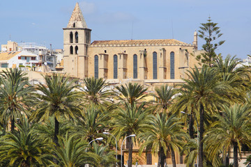 palma de mallorca © fotobild40