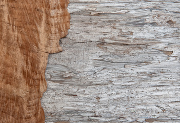 Old wooden background with cracked wood board