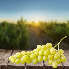 Grape. Bunch of Green Grapes laying