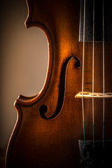 violin in vintage style © Lukas Gojda