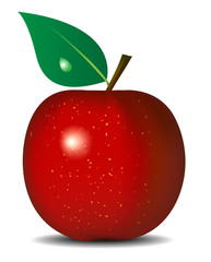 Vector illustration of fresh red apple isolated