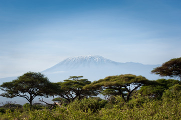 Obraz premium kilimanjaro
