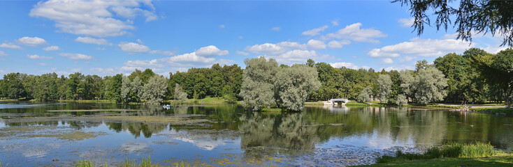 Летний пейзаж на озере.