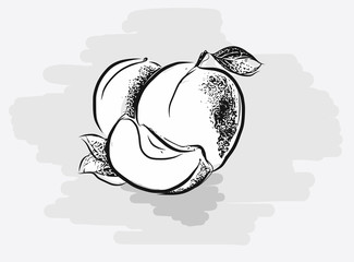 Juicy Apricots