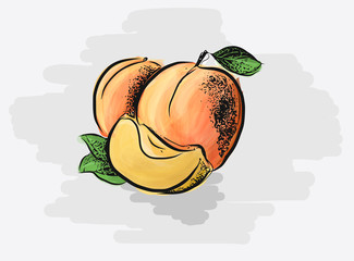 Juicy Apricots