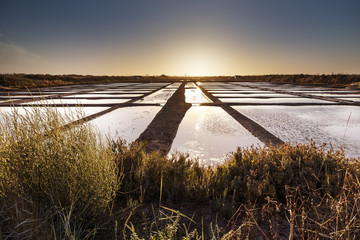 Saline de guérande - obrazy, fototapety, plakaty